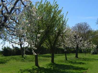 The Orchard at Le Gite Tranquille