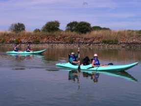 Canoes on the Route de Sel