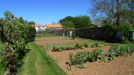The Potager Allotment